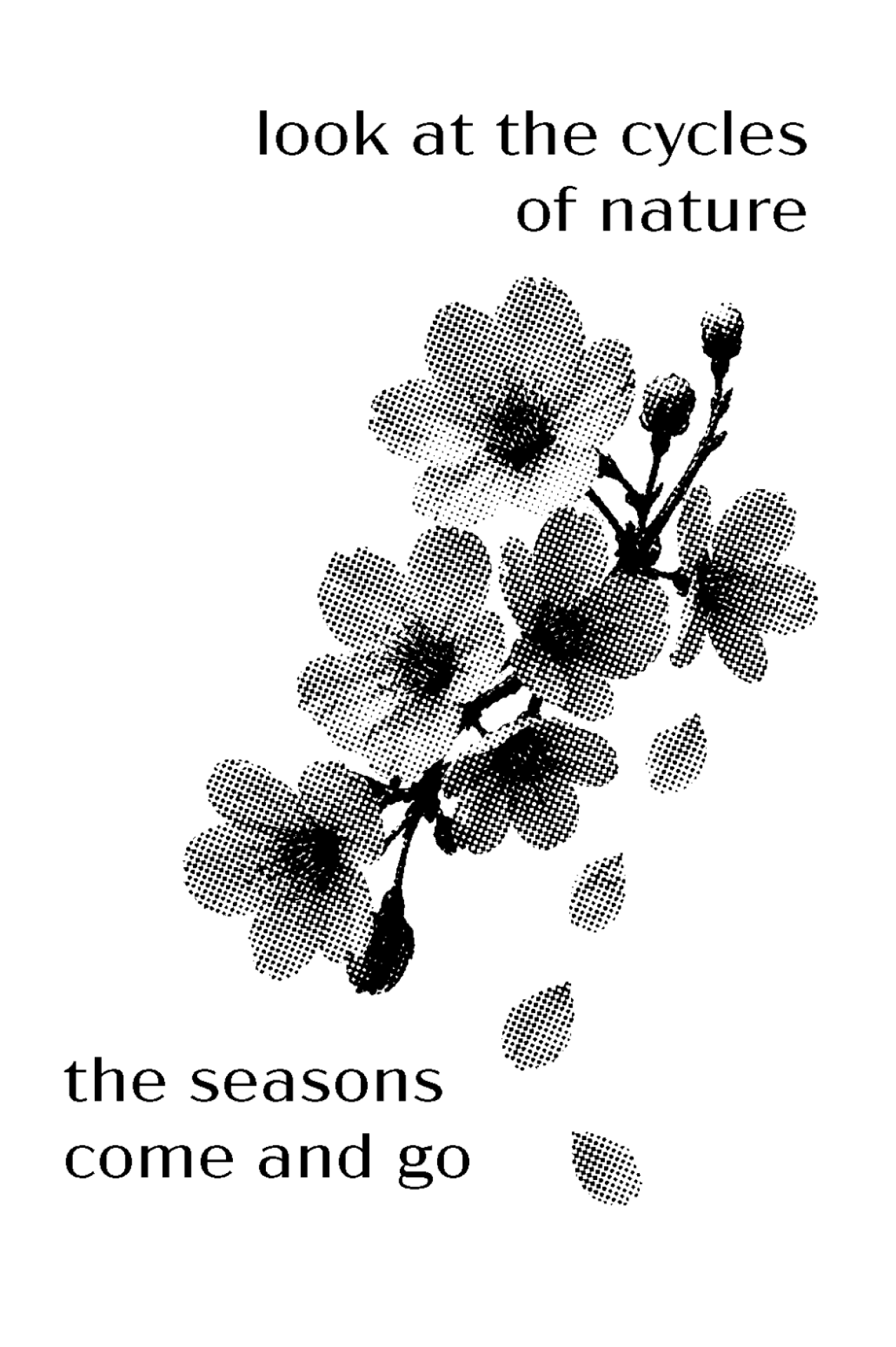 Illustration of cherry blossom branches with the text "look at the cycles of nature, the seasons come and go."